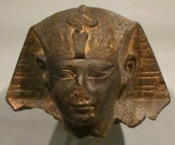 Black granite head of Thutmose III, HAA