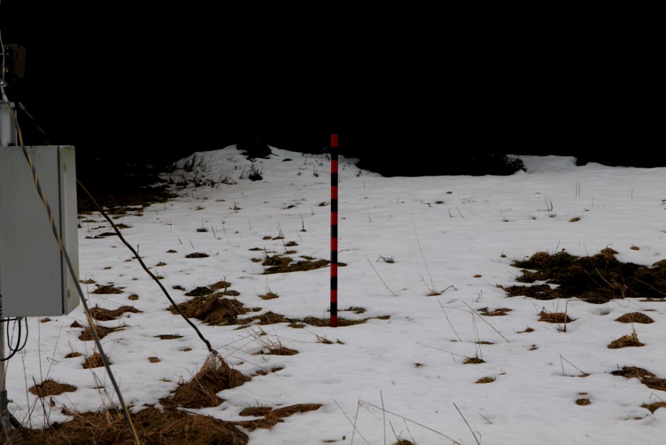 Black Forest National Park Baiersbronn 2020-03-11 57