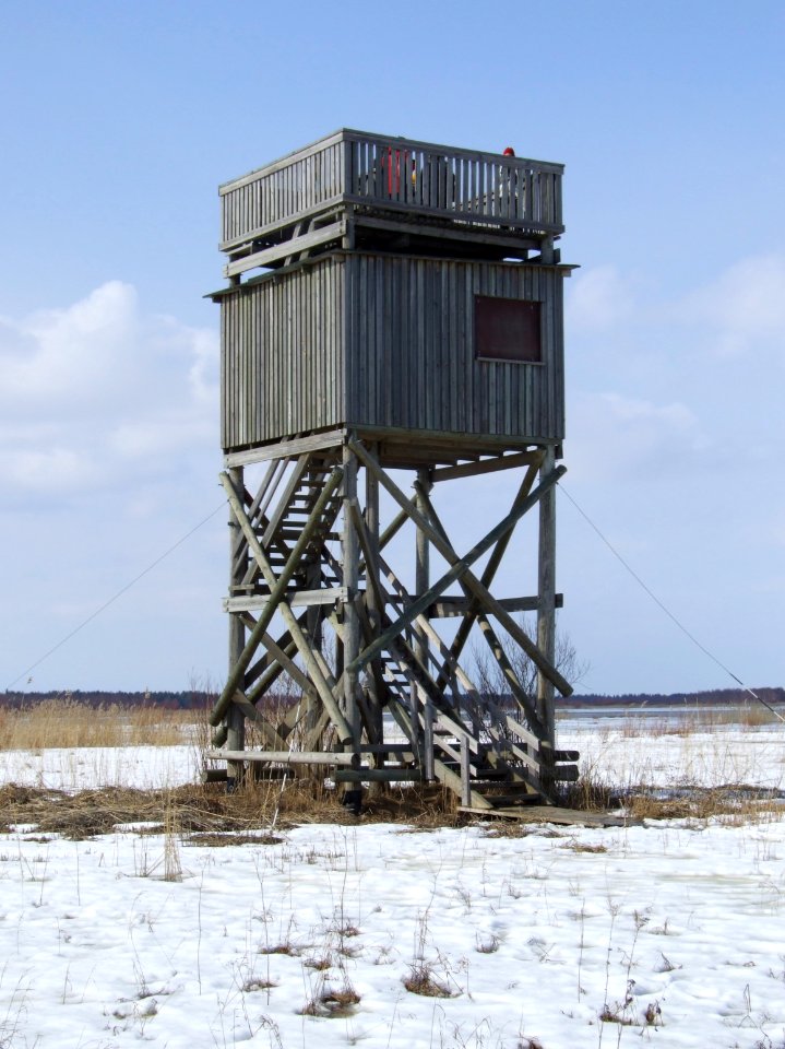 Birdwatching tower Liminka 20060414