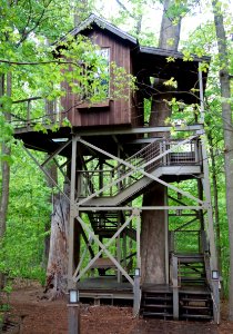 Birdhouse - Longwood Gardens - DSC01276