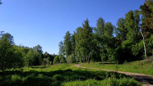 Bityagovo - Nikitskoye road 2019-05 7