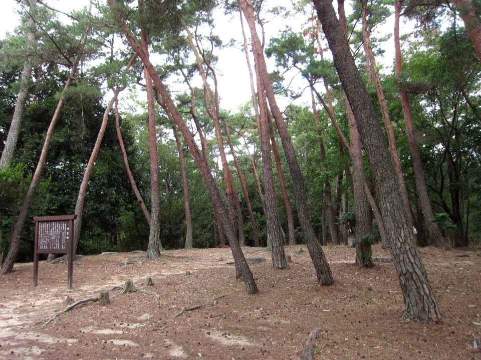 Bitchu-kokubunniji-ato kondou