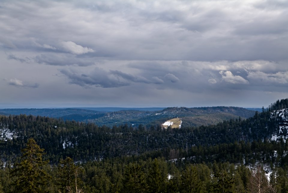 Black Forest from Kleine Grinde 2020-03-14 pixel shift 02 photo