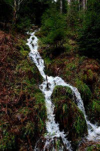Black Forest National Park Baiersbronn 2020-03-11 41