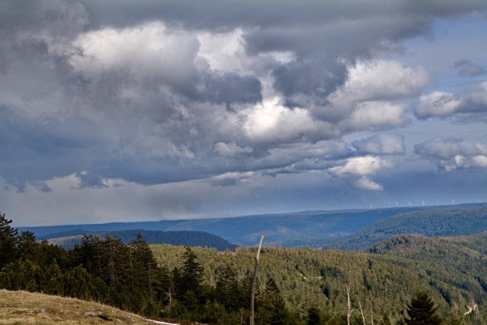 Black Forest from Kleine Grinde 2020-03-14 pixel shift 05 photo