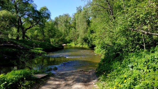 Bityagovo - Nikitskoye road 2019-05 4