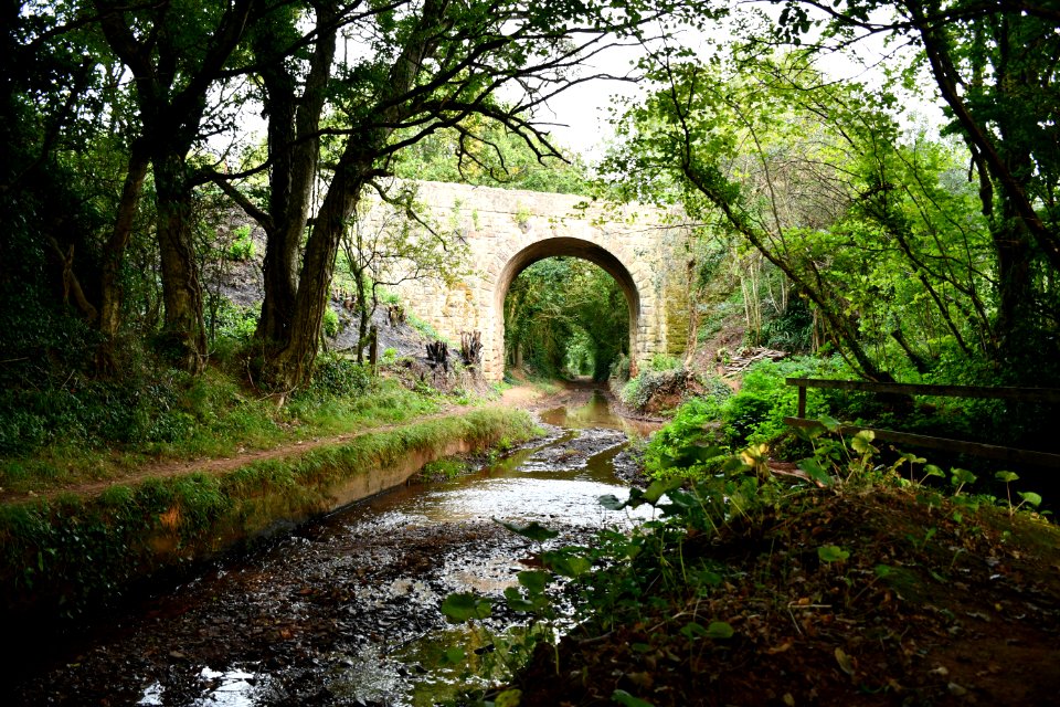 Black Monkey Bridge (2020-09-15) 04