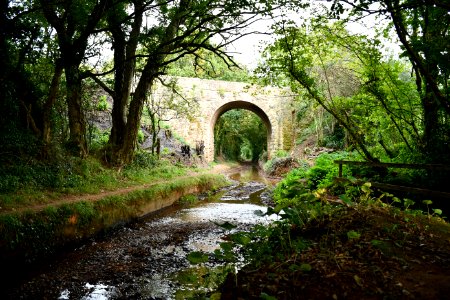 Black Monkey Bridge (2020-09-15) 04