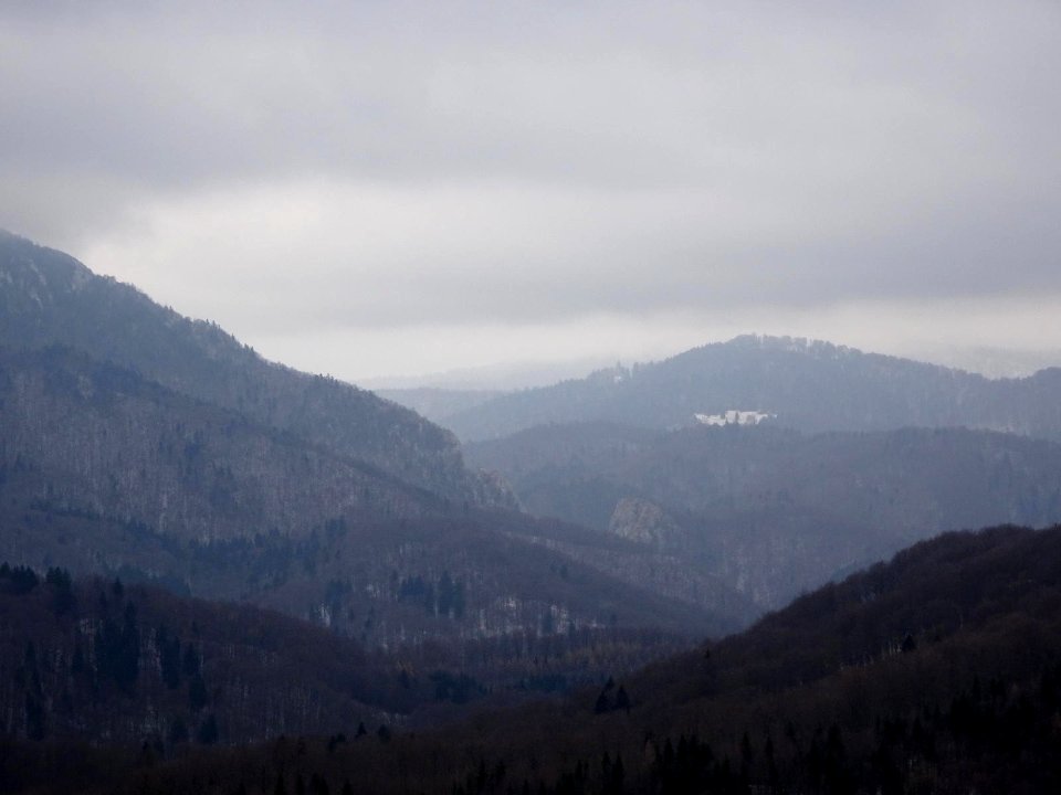 BisPagViewWinter02