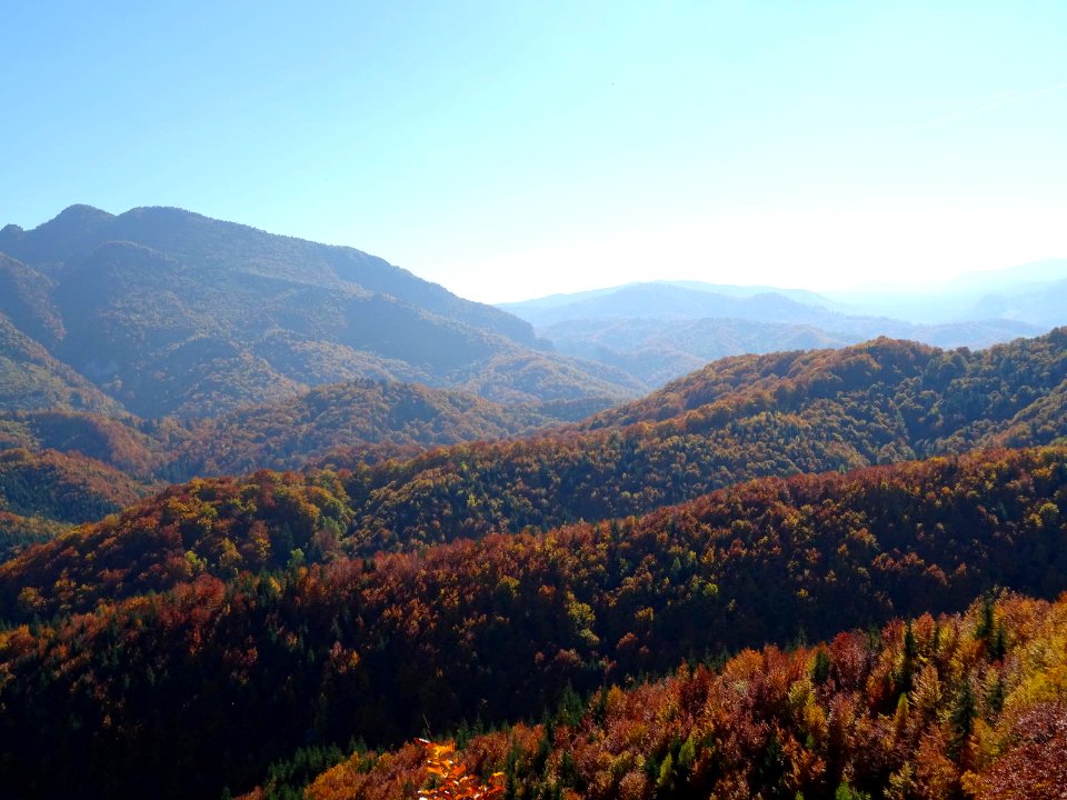 BisPagViewAutumn06