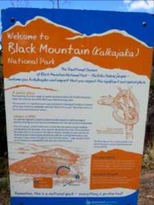Black Mountain (Kalkajaka) National Park, Queensland 03
