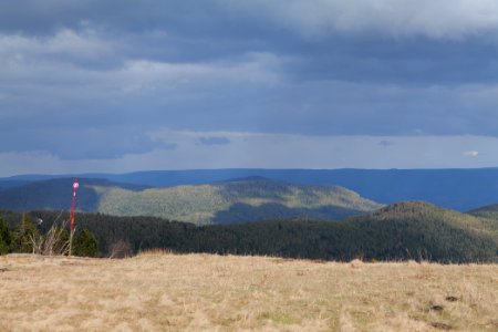 Black Forest from Hornisgrinde 2020-03-14 01
