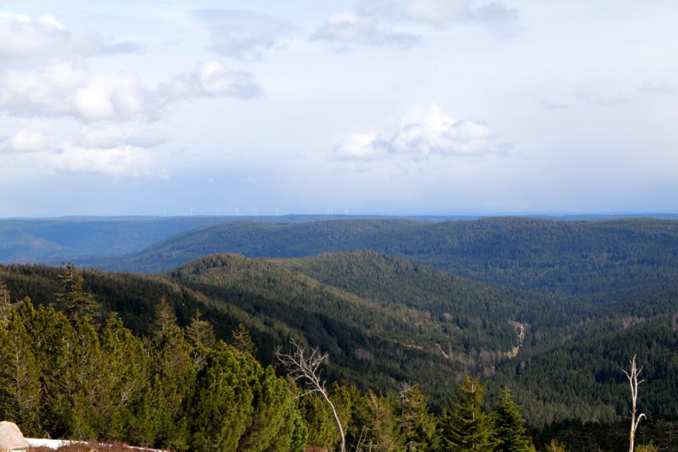 Black Forest from Kleine Grinde 2020-03-14 05