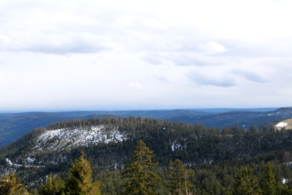 Black Forest from Kleine Grinde 2020-03-14 11