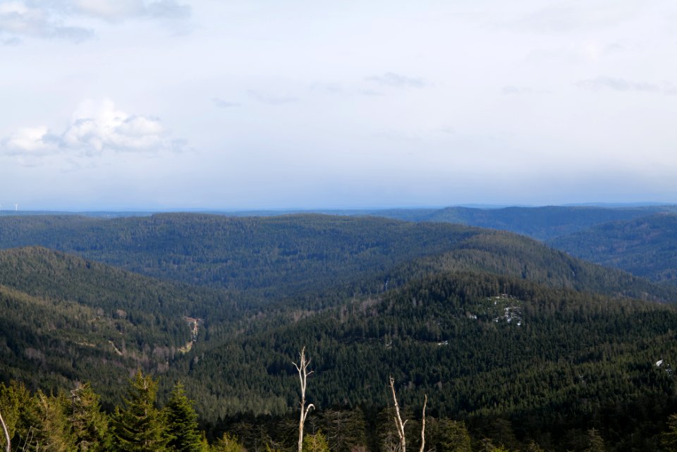 Black Forest from Kleine Grinde 2020-03-14 07