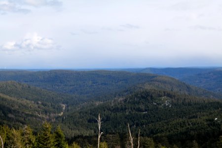Black Forest from Kleine Grinde 2020-03-14 07
