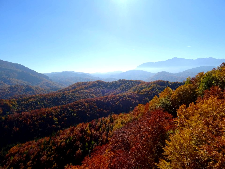 BisPagViewAutumn07