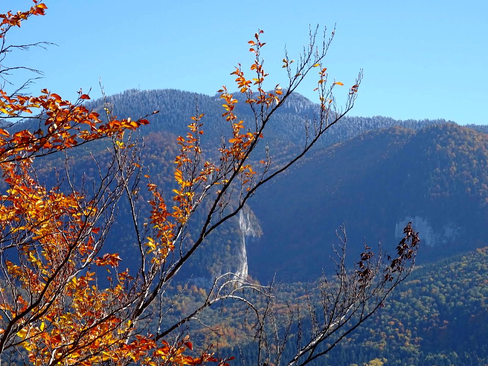 BisPagViewAutumn02