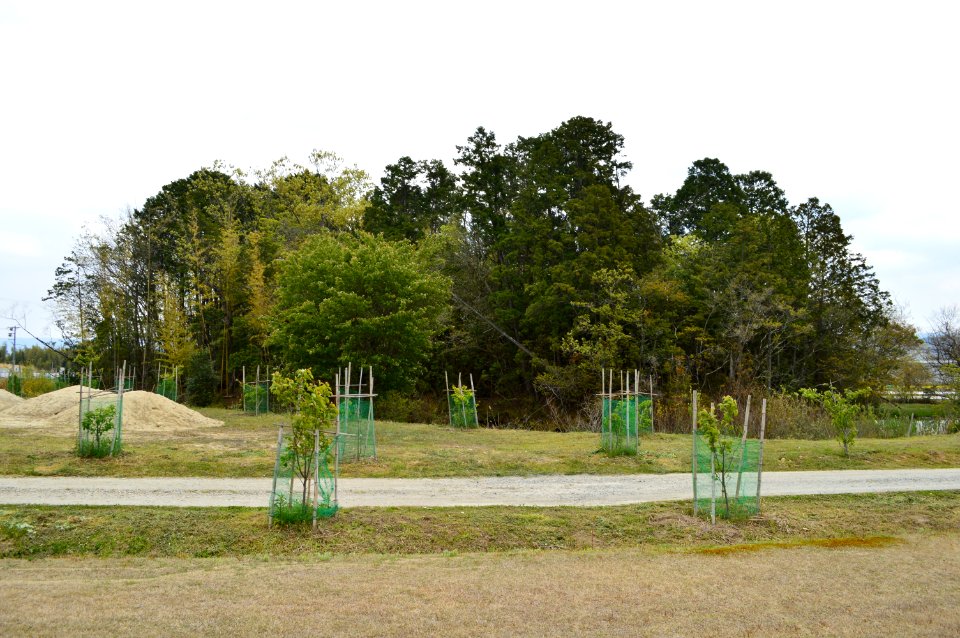 Bishamonzuka Kofun, funkyu