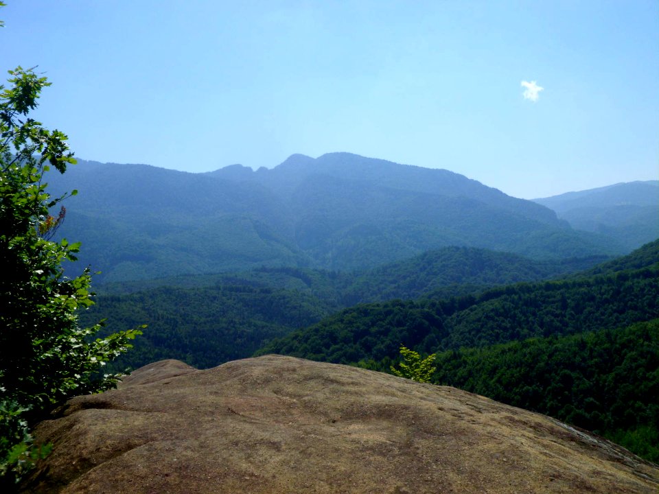 BisPagViewSummer05