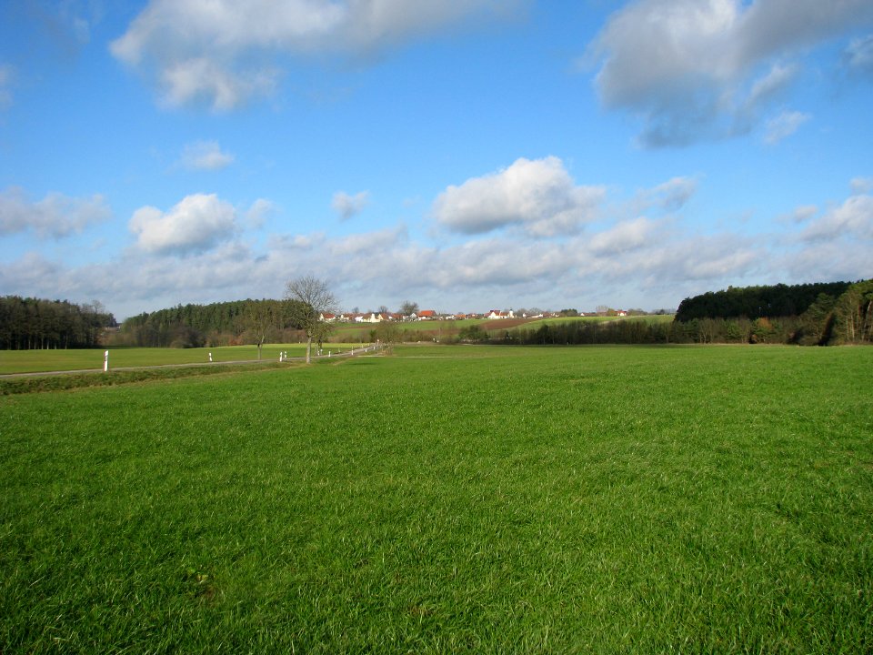 Bischofsholz HIP (8)