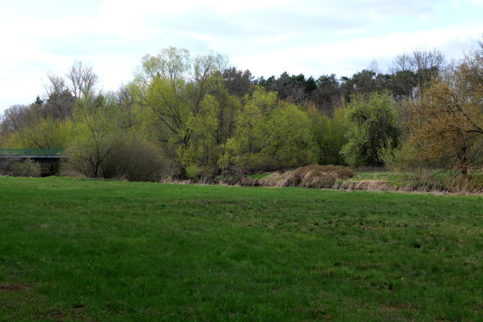 Biotopverbund Spreeaue 2021-04-24 11