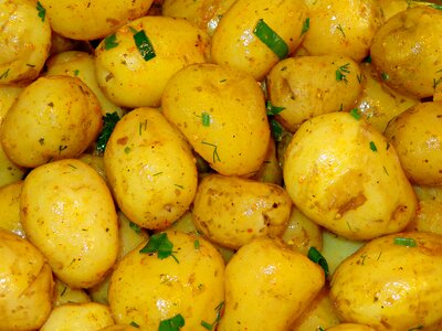Fresh healthy food natural food