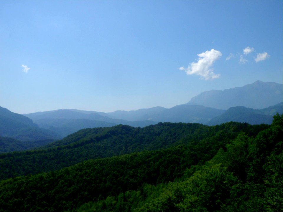 BisPagViewSummer07