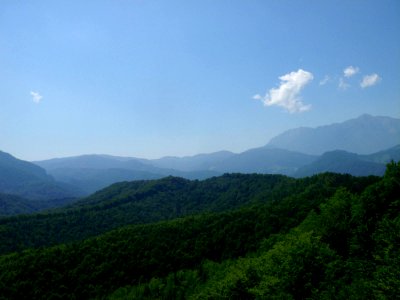 BisPagViewSummer07