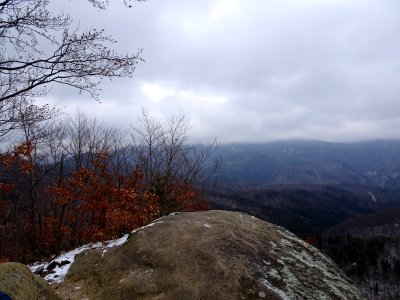 BisPagViewWinter00
