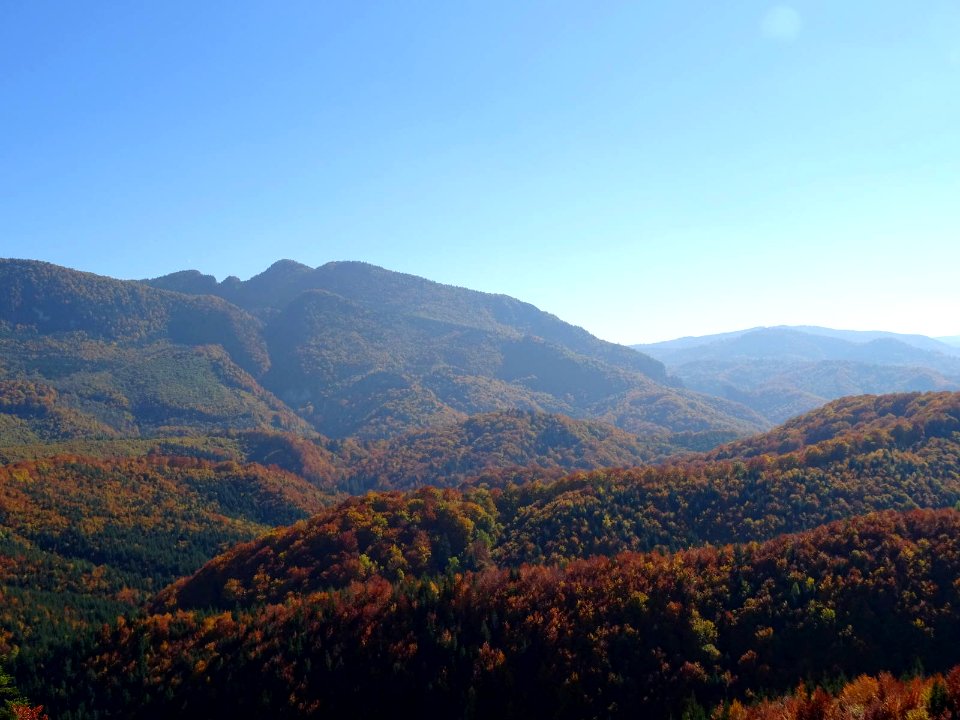 BisPagViewAutumn05