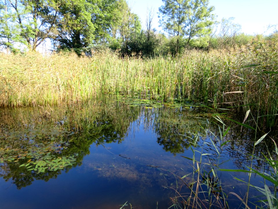 Biotop Benediktbeuern