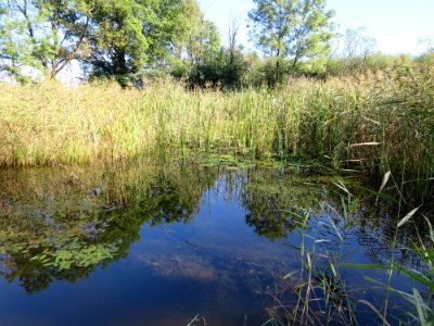 Biotop Benediktbeuern