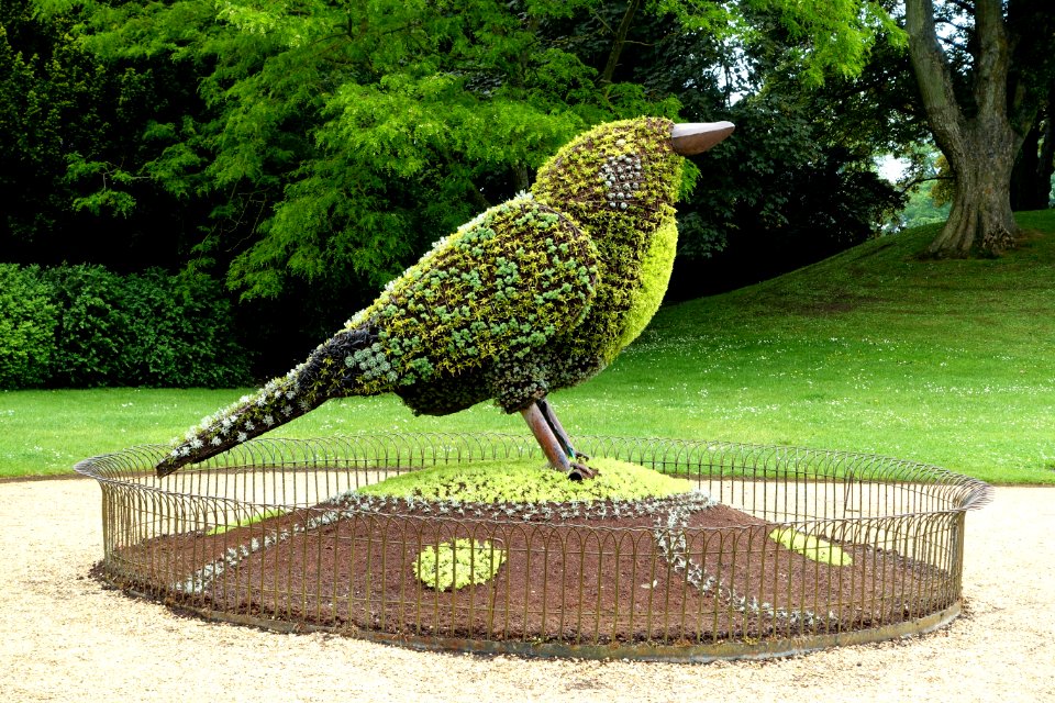 Bird - Waddesdon Manor - Buckinghamshire, England - DSC07578