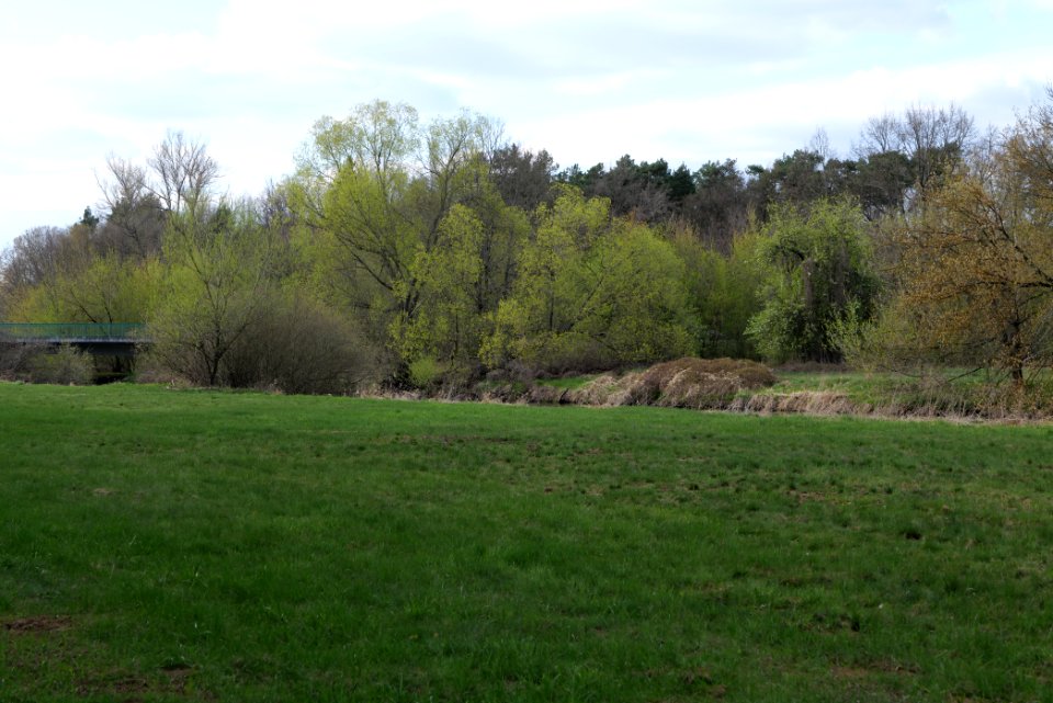 Biotopverbund Spreeaue 2021-04-24 10