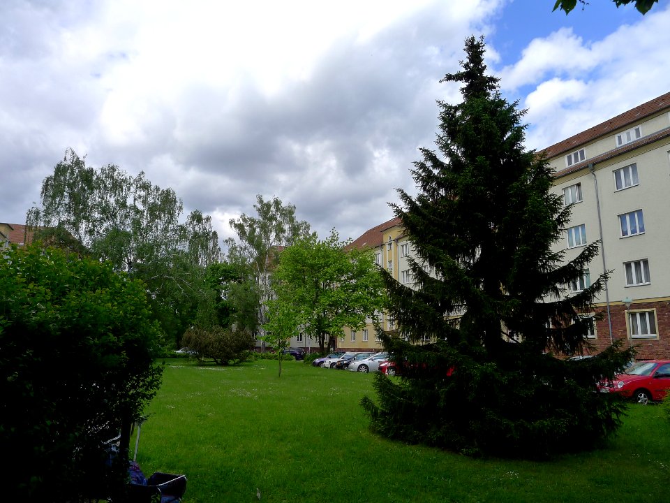Birkbuschgarten Berlin-Steglitz