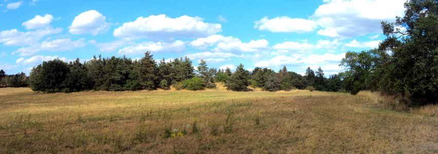 Biskoupský kopec 02
