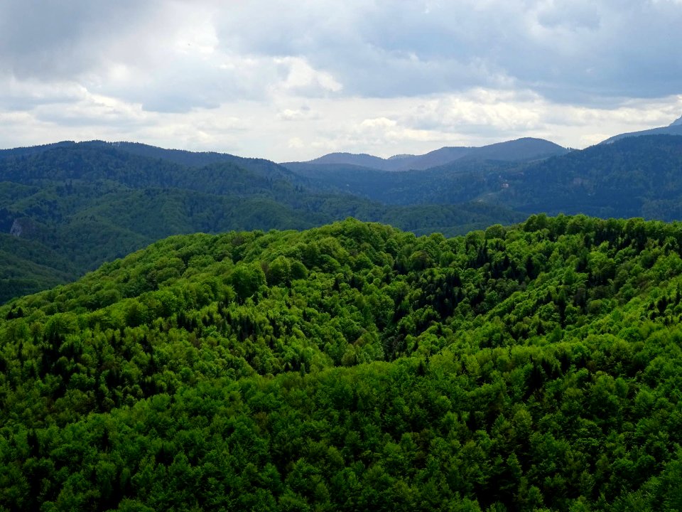 BisPagViewSpring02