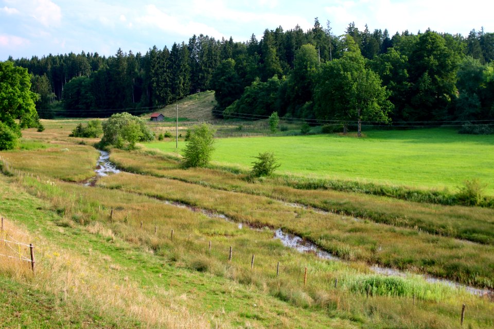 Biotop quellaustritt etting