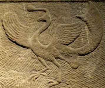 Bird detail, Wang Xiaoyuan relief stele, China, unearthed from Xipu Village, Pixian County, Sichuan, Eastern Han dynasty, dated year 3 of Yongjian period, stone - Sichuan Provincial Museum - Chengdu, China - DSC04742 (cropped)