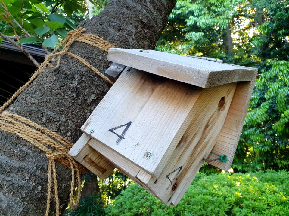 Bird house at Seseragi Park