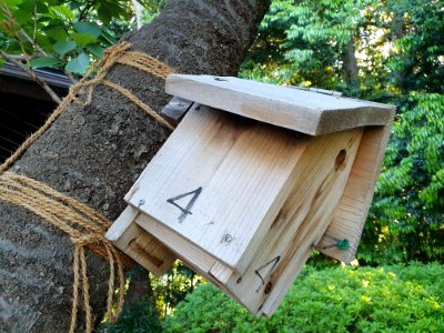 Bird house at Seseragi Park
