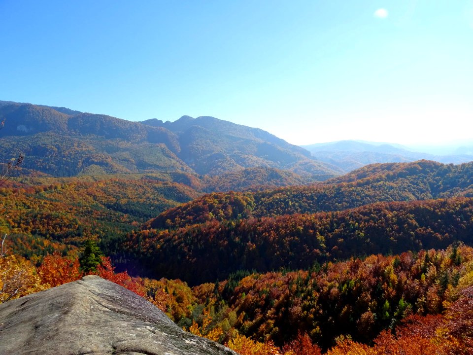 BisPagViewAutumn01