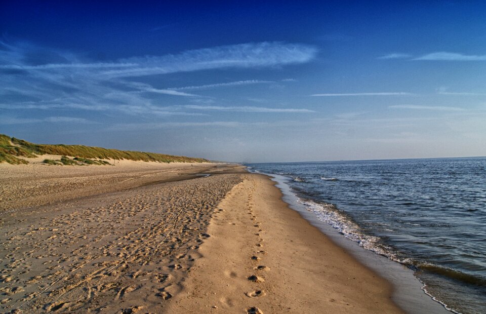 Sea callantsoog dunes
