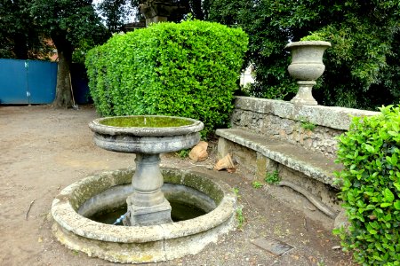 Bird bath - Castello Ruspoli - Vignanello, Italy - DSC02793