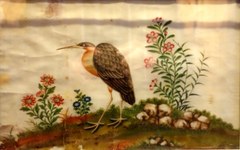 Bird and flowers, China, on Tetrapanax papyrifer paper - Robert C. Williams Paper Museum - DSC00391