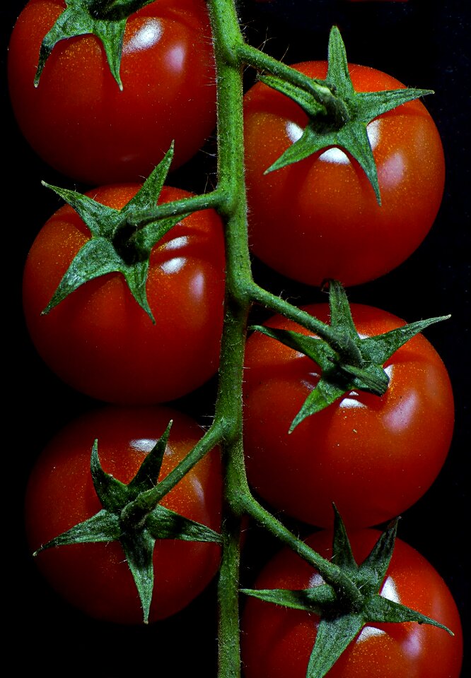 Macro food datailaufnahme