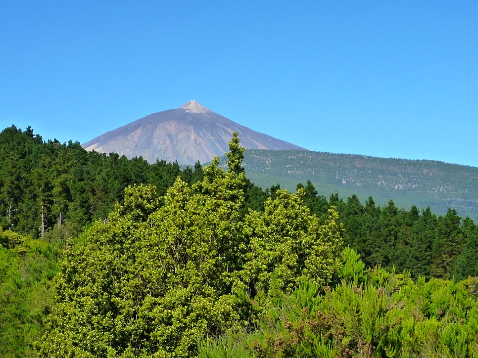 Tenerife nature spain