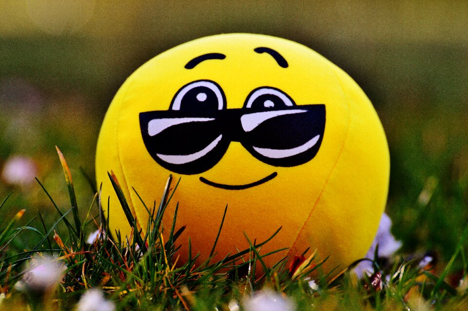 Yellow glasses sweet