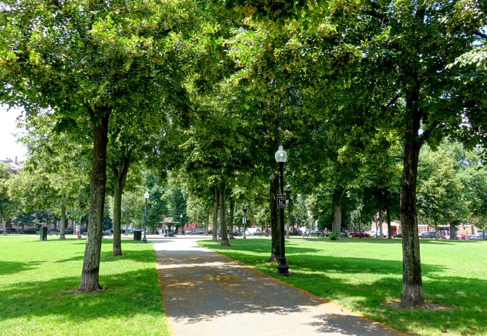 Blackstone Square - Boston, MA - DSC06760
